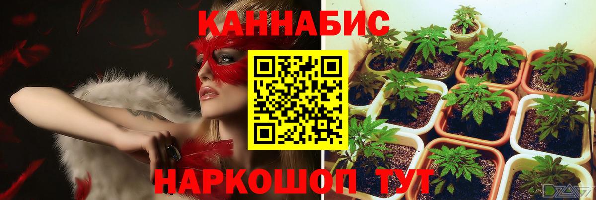 Партизанск  Конопля гибрид  Каннабис AK-47  Вход с VPN 